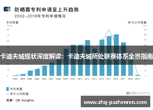 卡迪夫城现状深度解读：卡迪夫城所处联赛体系全景指南