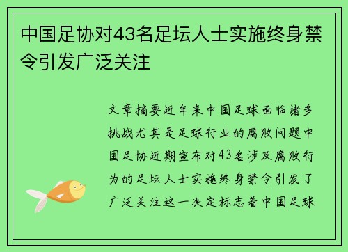 中国足协对43名足坛人士实施终身禁令引发广泛关注 中国足协对43名足坛人士实施终身禁令引发广泛关注